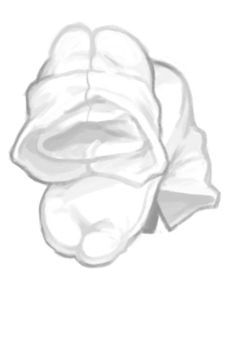 袜子恶魔 tweet media