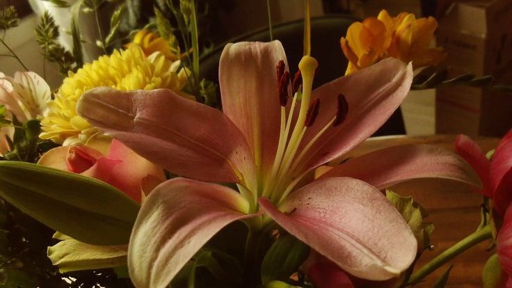 Slot Gacor Hari Ini Terpercaya tweet media