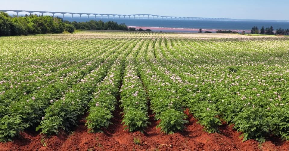 Agribusiness Media tweet media