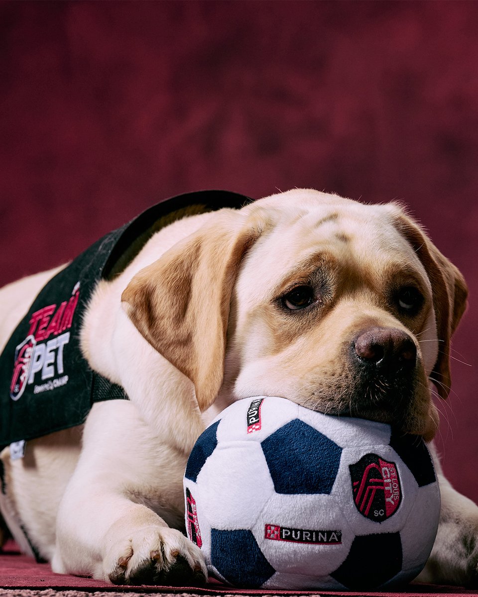 St Louis CITY SC tweet media