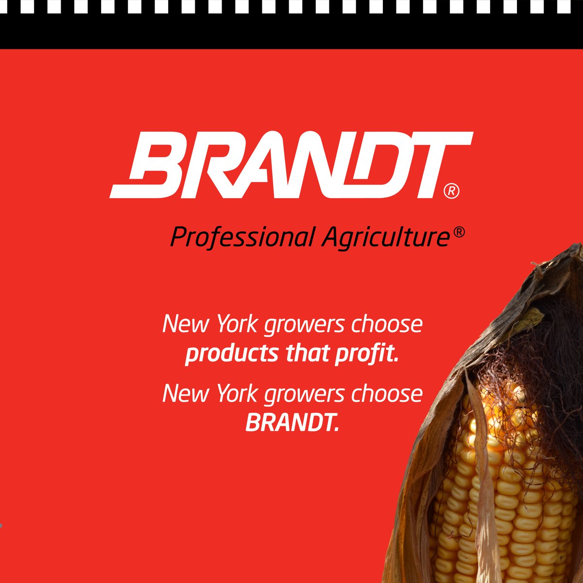 From Iowa to New York, corn is riding shotgun once again on the No. 7 BRANDT Chevrolet.

We’re continuing to highlight BRANDT Smart K B – a key player in helping corn finish strong by supporting kernel fill and late-season plant health.

Tune in Saturday to watch Justin Allgaier
