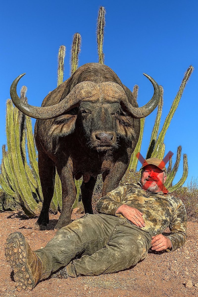 Defence Pakistan (@defence_pk99) on Twitter photo A Texas millionaire who hunted animals for fun was killed by a buffalo in South Africa. African social media is ablaze, calling it nature’s revenge. 
What do you think—is this justice or tragedy? 🦬 A Texas millionaire who hunted animals for fun was killed by a buffalo in South Africa. African social media is ablaze, calling it nature’s revenge. 
What do you think—is this justice or tragedy? 🦬