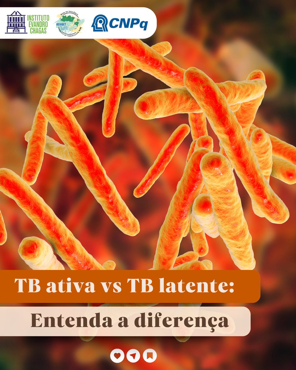 reviget's tweet photo. 🔬 Você sabia que existe diferença entre tuberculose latente e tuberculose ativa?

Na TB latente, a pessoa está infectada pelo Mycobacterium tuberculosis, mas não apresenta sintomas e não transmite a doença. É detectada por testes, como PPD ou IGRA. https://t.co/xowylTWaus