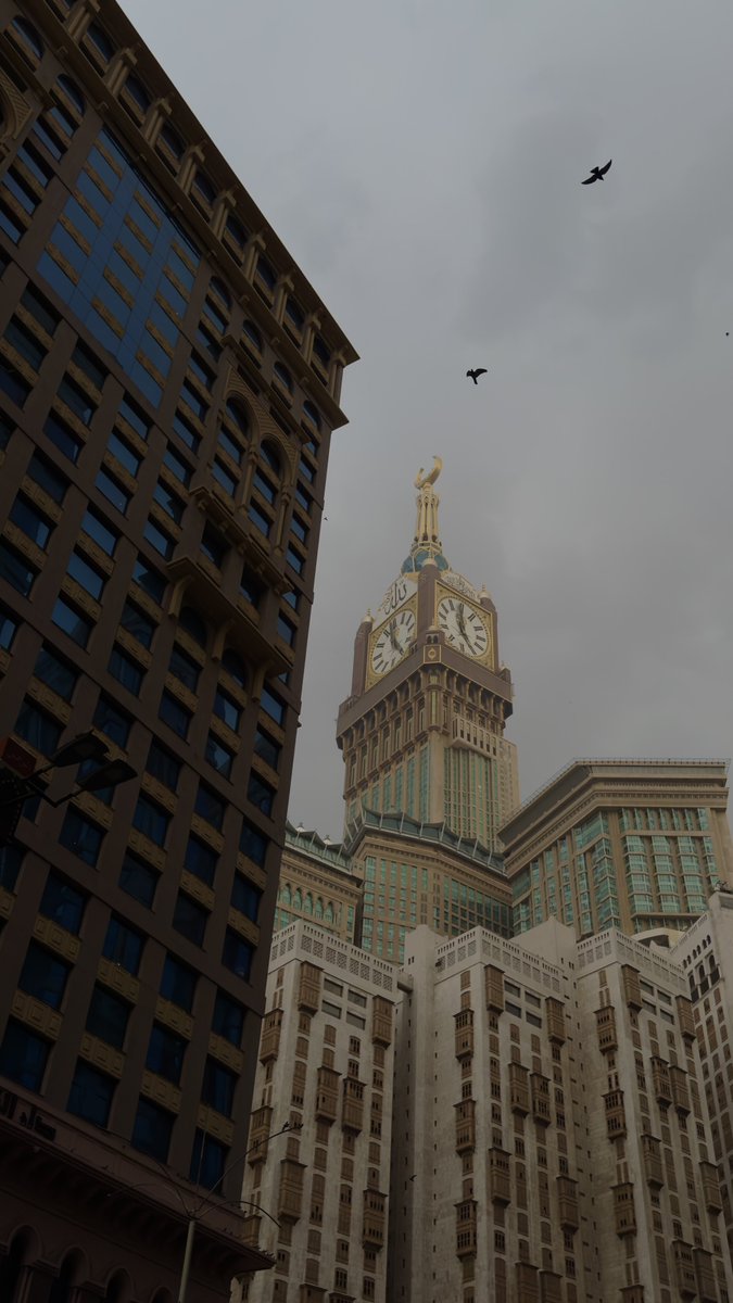 عبدالله المقبل tweet media