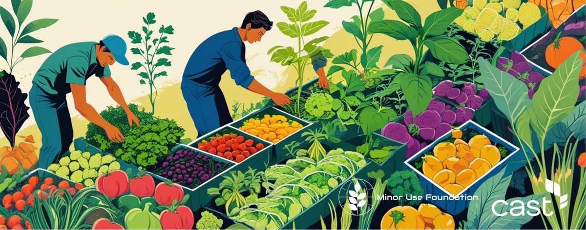 MinorUseFndn's tweet image. On July 24, @CASTagScience and the Minor Use Foundation hosted a compelling live webinar exploring the top global challenges faced by specialty crop producers. #MinorUseFoundation #CAST #SpecialtyCrops