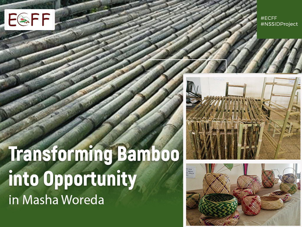 ECFF - Environment and Coffee Forest Forum tweet media