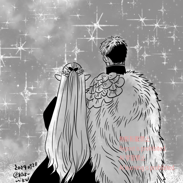#laicilleMBD
#laicille
夜空とライシル（再掲）