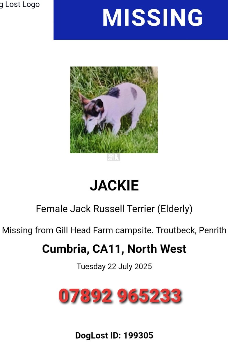 Missing Pets GB tweet media