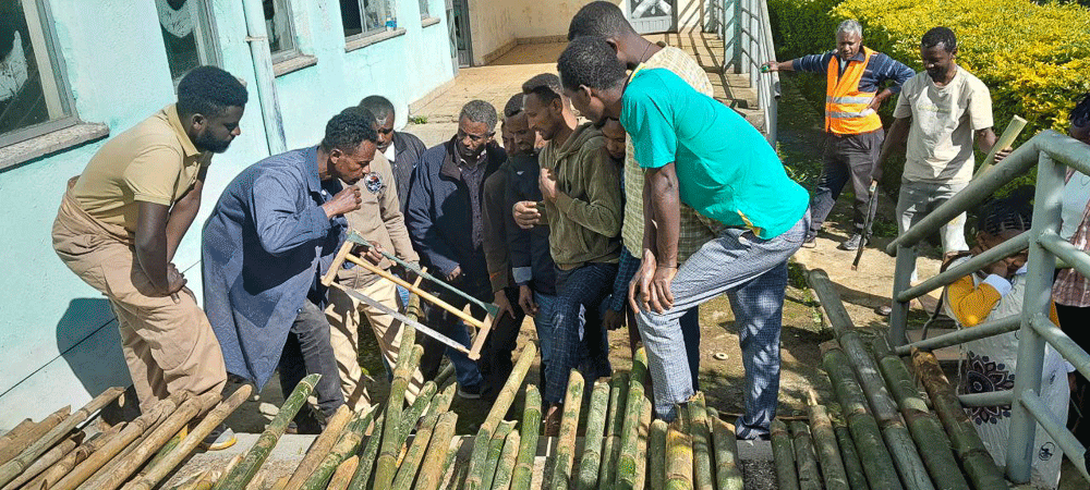 ECFF - Environment and Coffee Forest Forum tweet media