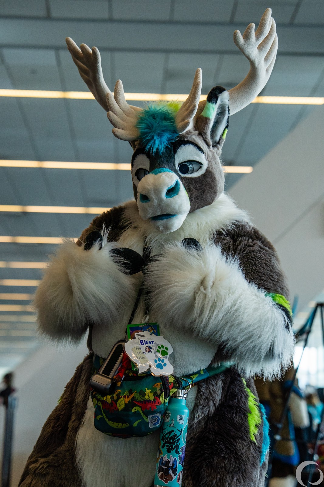 小物 auskou fooded scarf dinoworks oops auskou fooded scarf