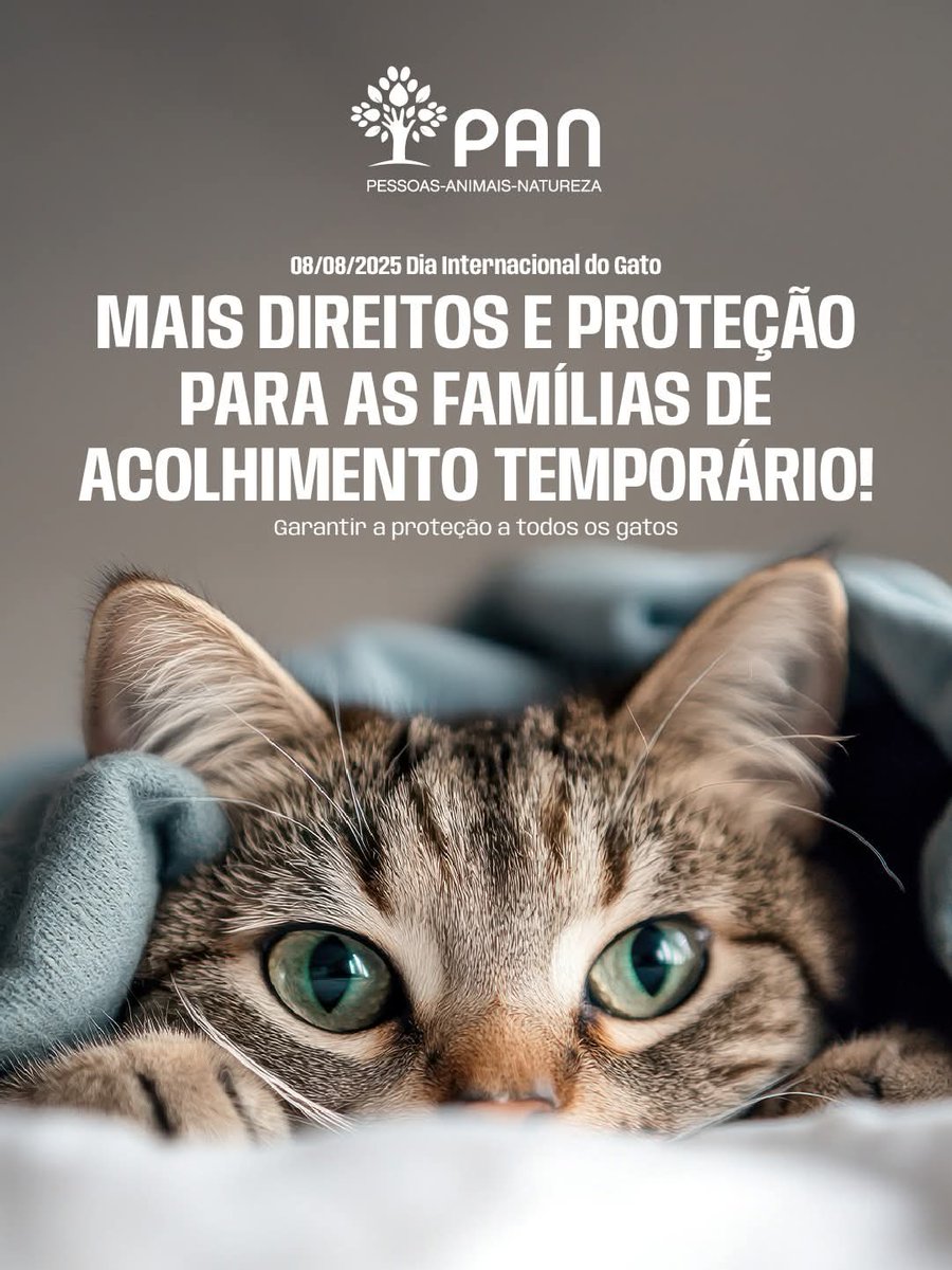 Neste Dia Internacional do Gato, destacamos as famílias de acolhimento e todas as pessoas que dedicam o seu tempo à proteção dos animais! 👏

Hoje , demos entrada no Parlamento de uma proposta para dar mais direitos e proteção às famílias de acolhimento temporário! ✅ 🐱