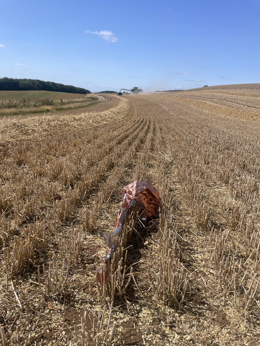 More littering of the countryside. If I dropped this on the high street in #Cheltenham I’d get a fine, why then is it OK to release them into the countryside?