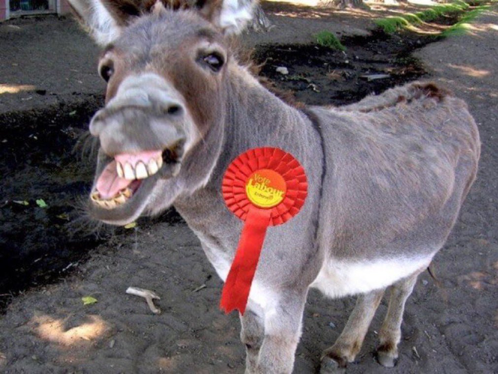 Loz Brewer 🇬🇧🇺🇸🇬🇸🇦🇺🇨🇦🏳️🌈🇦🇷 (@lbrewer190) on Twitter photo <a href="/UKLabour/">The Labour Party</a> You lot voted against a child grooming rape gang enquiry <a href="/YvetteCooperMP/">Yvette Cooper</a> so taking a swipe at <a href="/reformparty_uk/">Reform UK</a> won’t work. <a href="/UKLabour/">The Labour Party</a> You lot voted against a child grooming rape gang enquiry <a href="/YvetteCooperMP/">Yvette Cooper</a> so taking a swipe at <a href="/reformparty_uk/">Reform UK</a> won’t work.