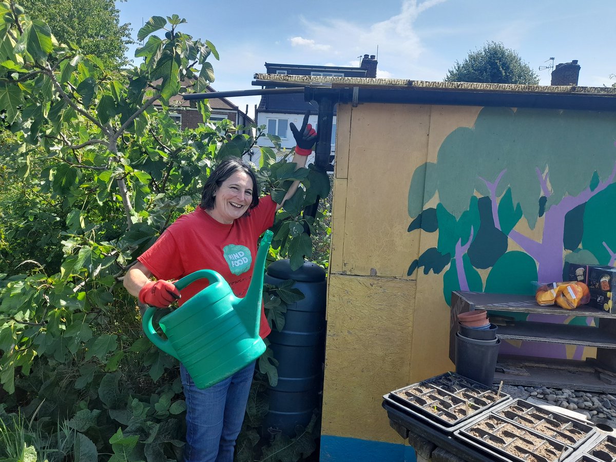 To mark #WorldWaterWeek Lucy from @Mindfoodcio shows the drainpipe the men's group built to collect rain water at Cleveleys Crescent community garden. They are growing more plants that need less water