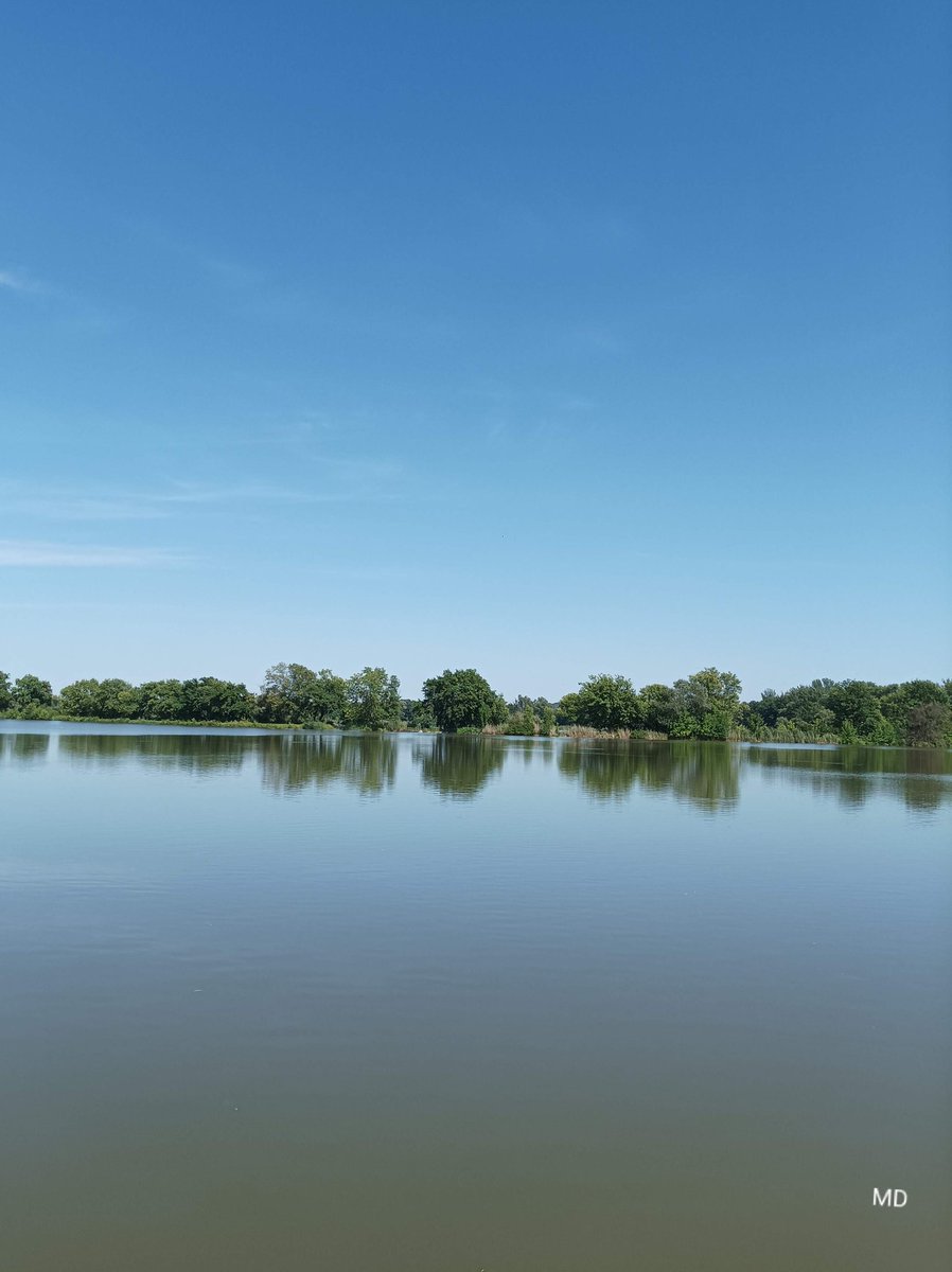 Martina Dvorská (@martinadvorsk2) on Twitter photo 