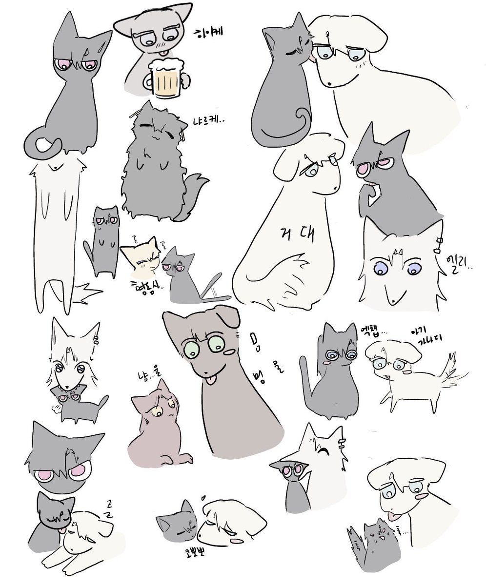 통모짜핫도그요즘잘자쿨냥이