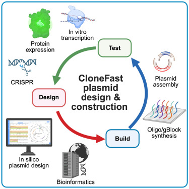 Pharmacoengineering & Mol Pharmaceutics (DPMP UNC) (@dpmp_unc) on Twitter photo Just published in <a href="/STARProtocols/">STAR Protocols</a> from the <a href="/TheFentonLab/">Owen S. Fenton</a> “CloneFast: A simple plasmid design and construction guide for labs venturing into synthetic biology”
🔗 doi.org/10.1016/j.xpro…
<a href="/UNCPharmacy/">UNC Pharmacy</a> Just published in <a href="/STARProtocols/">STAR Protocols</a> from the <a href="/TheFentonLab/">Owen S. Fenton</a> “CloneFast: A simple plasmid design and construction guide for labs venturing into synthetic biology”
🔗 doi.org/10.1016/j.xpro…
<a href="/UNCPharmacy/">UNC Pharmacy</a>