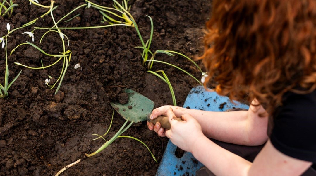 We're well over halfway to our new target of 500,000 hours in nature. Join <a href="/coopuk/">Co-op</a> 'Get out in nature this Summer' challenge and you could win some amazing prizes. Get outdoors, log your time, and tell us all about your activities. Sign up today: coop.uk/4m9AAhn