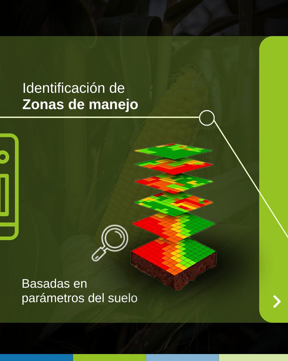 Easyagroap's tweet image. 𝗣𝗿𝗼𝗰𝗲𝘀𝗮𝗺𝗼𝘀 𝗱𝗮𝘁𝗼𝘀 𝗽𝗮𝗿𝗮 𝘁𝗼𝗺𝗮𝗿 𝗺𝗲𝗷𝗼𝗿𝗲𝘀 𝗱𝗲𝗰𝗶𝘀𝗶𝗼𝗻𝗲𝘀. 📊  En EasyAgro, convertimos los datos del suelo en información útil para tu campo.

𝗦𝗢𝗠𝗢𝗦 𝗘𝗔𝗦𝗬 𝗔𝗚𝗥𝗢. 𝗦𝗔𝗕𝗘𝗠𝗢𝗦 𝗗𝗘 𝗦𝗨𝗘𝗟𝗢.

#ProcesamientoDeDatos #ZonasDeManejo
