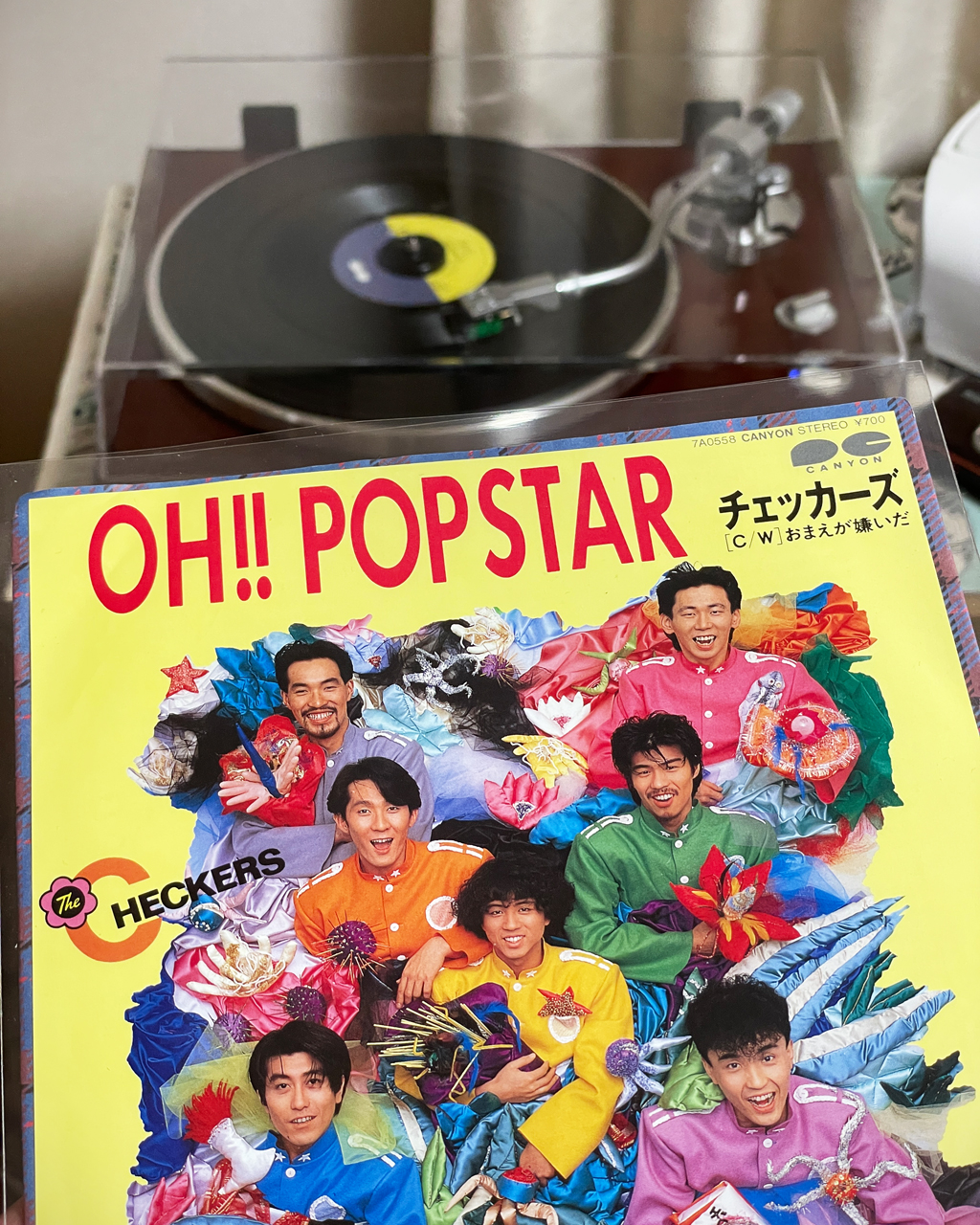 クッカーまとめ売り(バラ売り不可) クッカーまとめ売り(バラ売り不可)