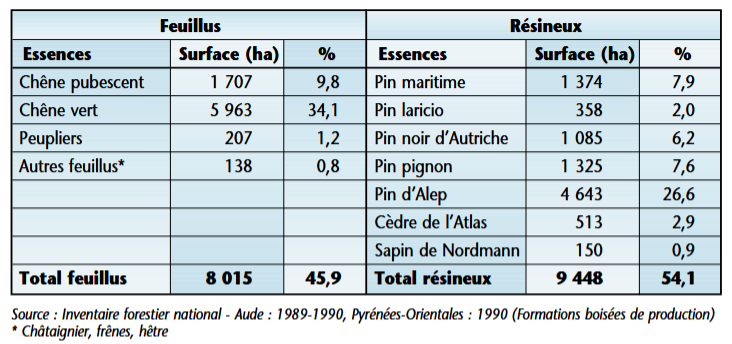 hellbet's tweet image. Feu de forêt de Ribaute (Aude). S'il vous plait, entendez le point de vue sur "X" de cet Audois de souche. On peut ajouter que les Audois d'adoption ne peuvent que confirmer la disparition aussi accablante que progressive des vignobles... et des viticulteurs qui étaient les…