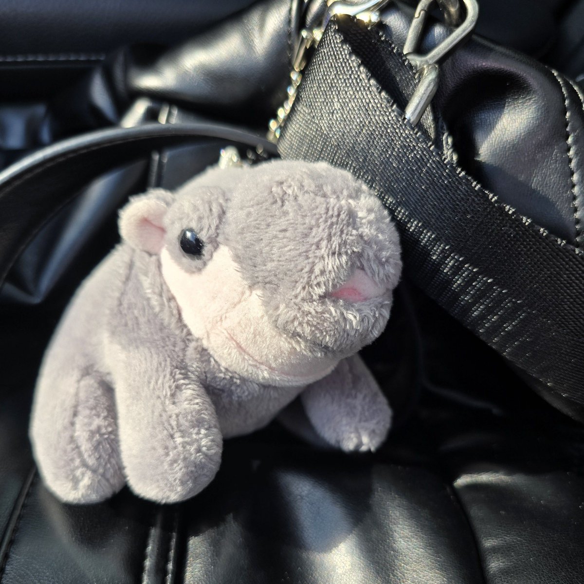 ♡*:.ᕼᗩᑭᑭY WONSᗩNG ᗞᗩY.:*♡
#RT 이벤트 #조원상

다가오는 원상이 생일을 맞이하여  #RT 추첨을 통해 한 분께 원상 미공포 4종+와장창 미개봉앨범+하마키링을 드립니다.🙂🩷 

🦝 당첨자 발표 : 8월 15일 PM 원상시