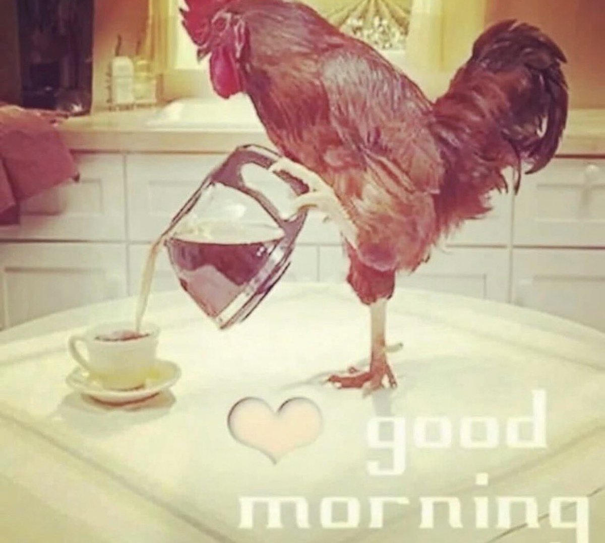 MaxPintchouk's tweet image. Early bird gets the worm