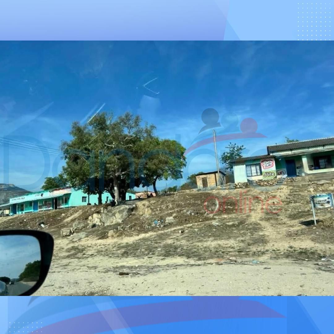 Dandaro Online tweet media