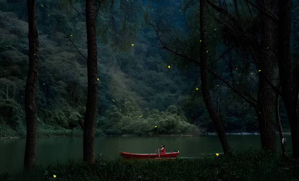 Univ_Destinos's tweet image. 🦟 ¡Aún puedes disfrutar de la #temporada de #luciérnagas! Aquí te proponemos 3 lugares cerca de la CDMX para observar este fenómeno natural ✨

Detalles aquí 👉🏻 tinyurl.com/24y3d94y