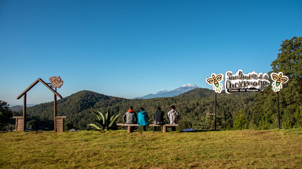 Univ_Destinos's tweet image. 🦟 ¡Aún puedes disfrutar de la #temporada de #luciérnagas! Aquí te proponemos 3 lugares cerca de la CDMX para observar este fenómeno natural ✨

Detalles aquí 👉🏻 tinyurl.com/24y3d94y