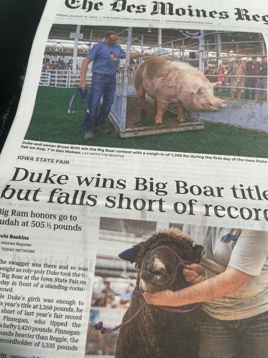 ohnotsouter's tweet image. They’re perfect @edsbs