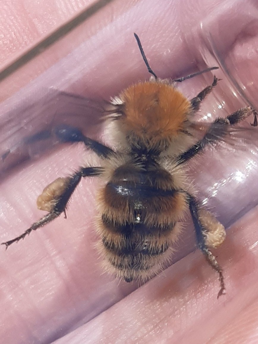 David Basham tweet media