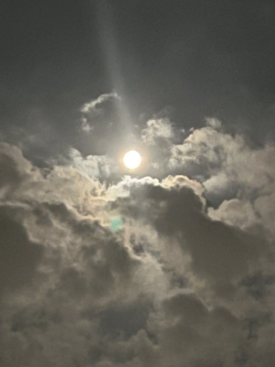 ライオンズゲートが最大に開く夏至の8月8日。見えるものよりも見えない世界の方が割合が実は大きい。
#ライオンズゲート
#夏至