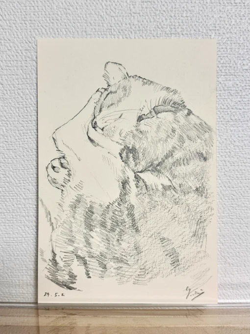 #世界猫の日 
うちの子たち 
