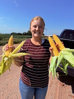 Stop 2 Northern Crop Tour: Martin County, MN
This year's crop looks fantastic. In 2024, this was one of the worst areas in the nation due to excess rain. Ear size and stands are consistent, stress is minimal. A 230 bu/acre yield is predicted for Martin County. #oatt #cropwatch