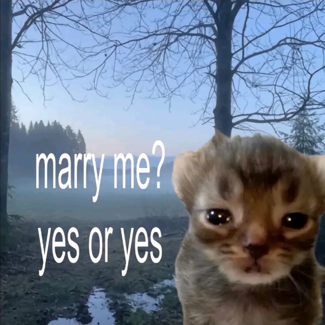 Miaw (@miaw) on Twitter photo 