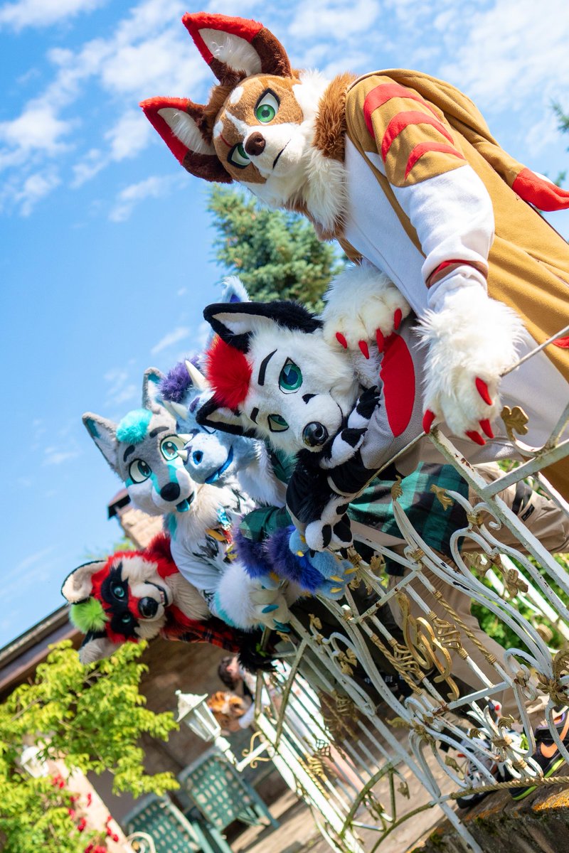 RalfBox's tweet image. Sunny days with frens~
#FursuitFriday