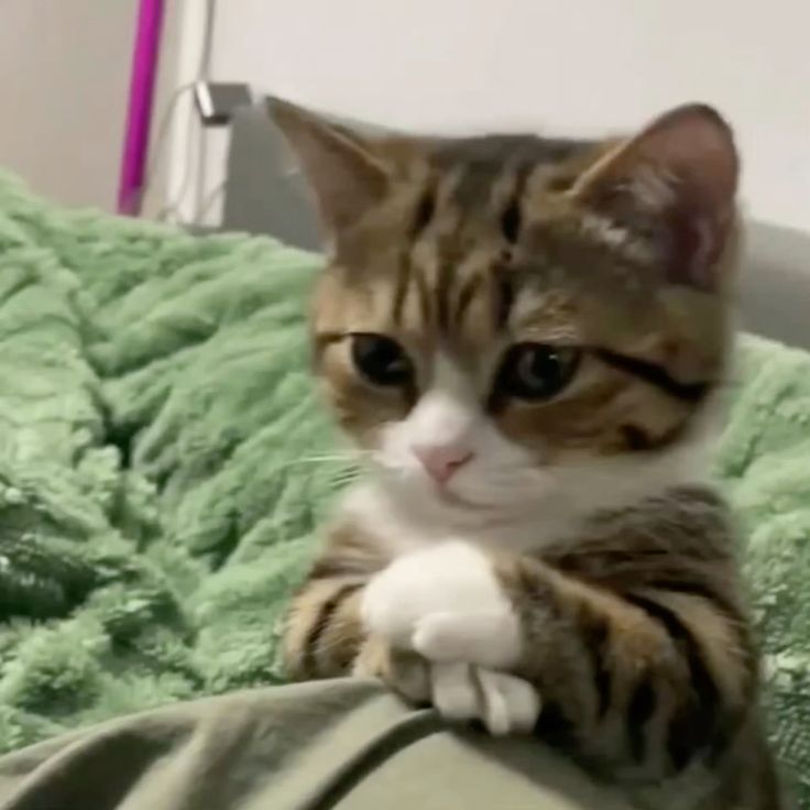 I'm still beating most souls bosses in 1-3 tries, but the day age catches up to me and my ability to game inevitably fades, I will mysteriously disappear from the internet