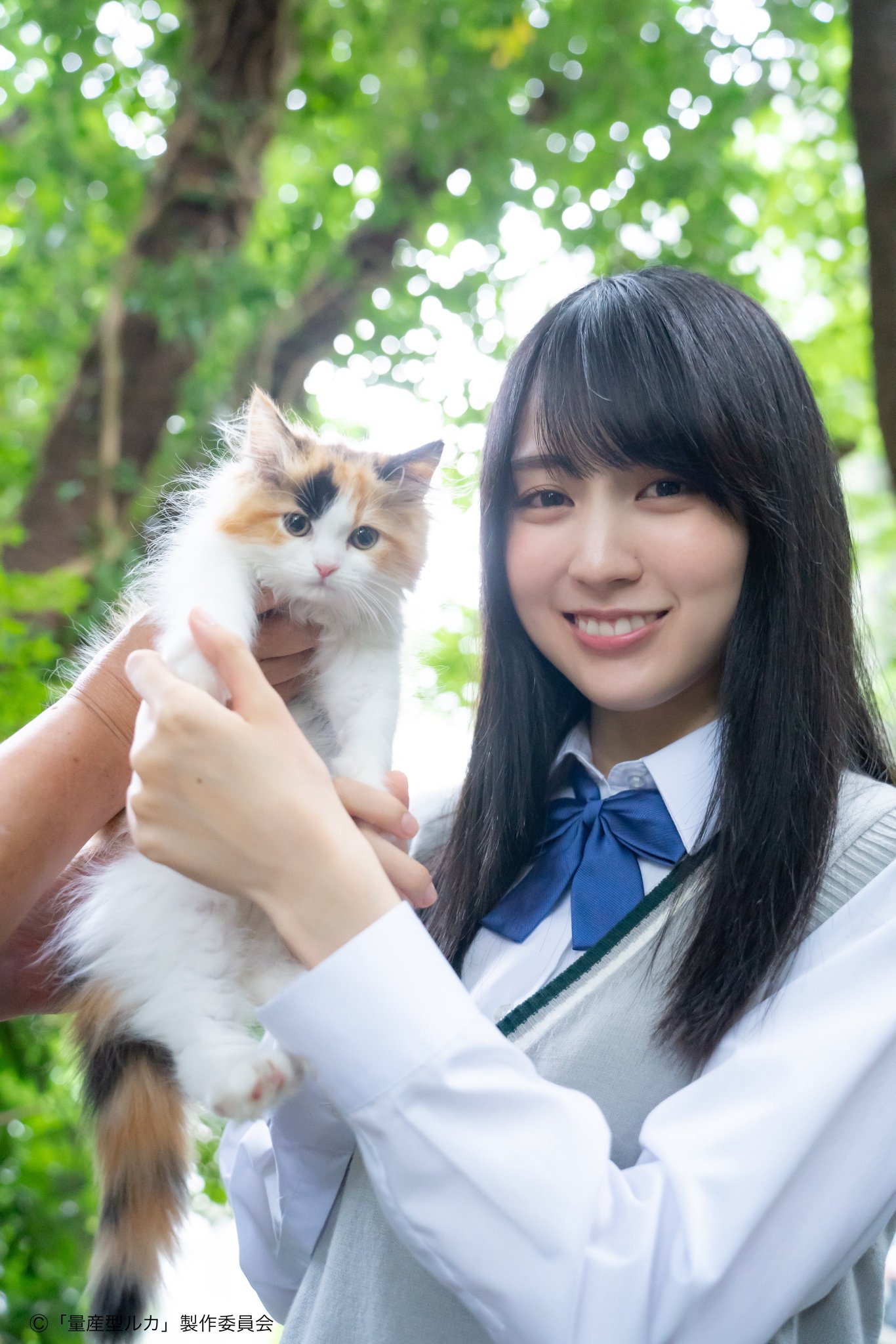 賀喜遥香 フロントボタントップス コンプ 坂道あっぷ on X: 