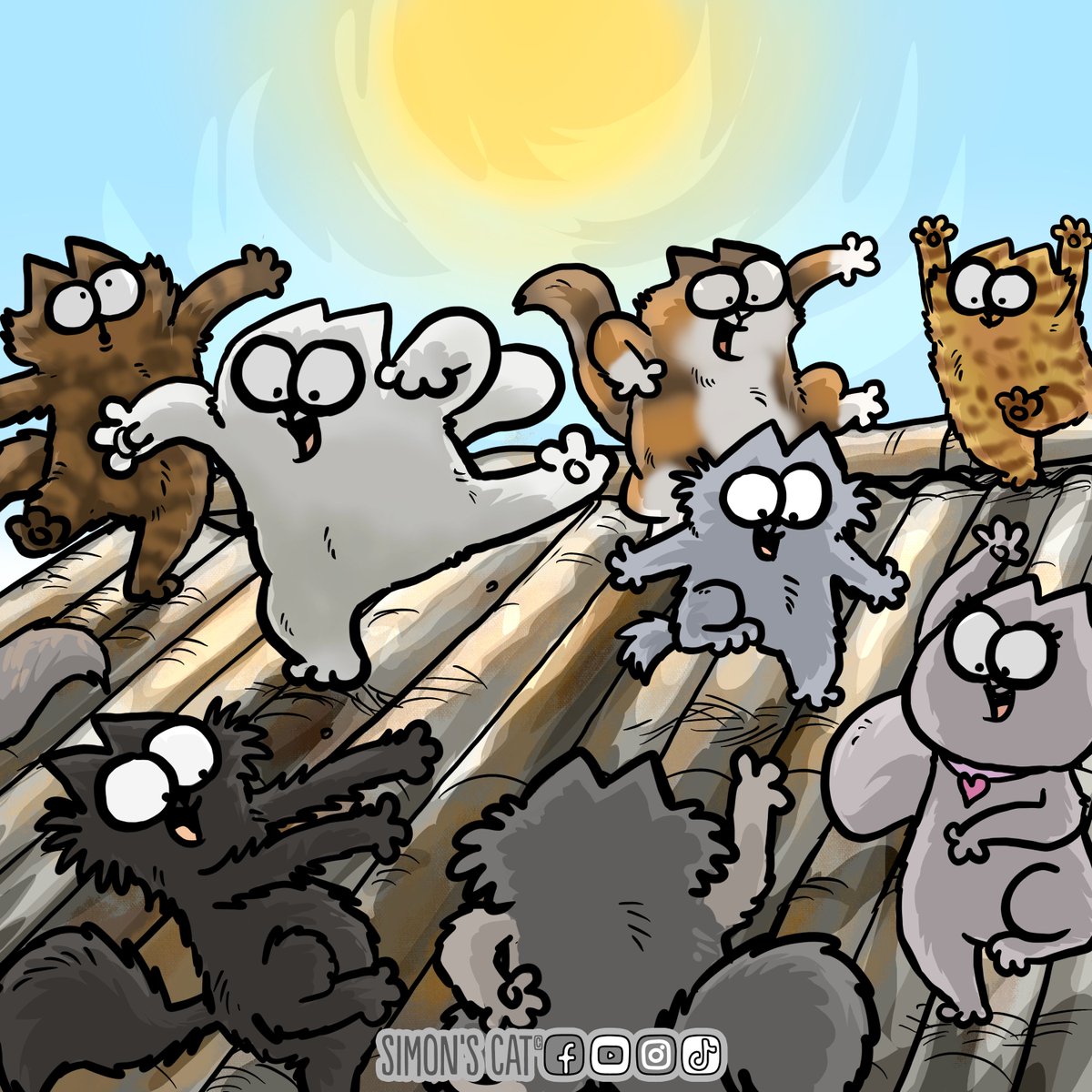 Happy International Cat Day 😻