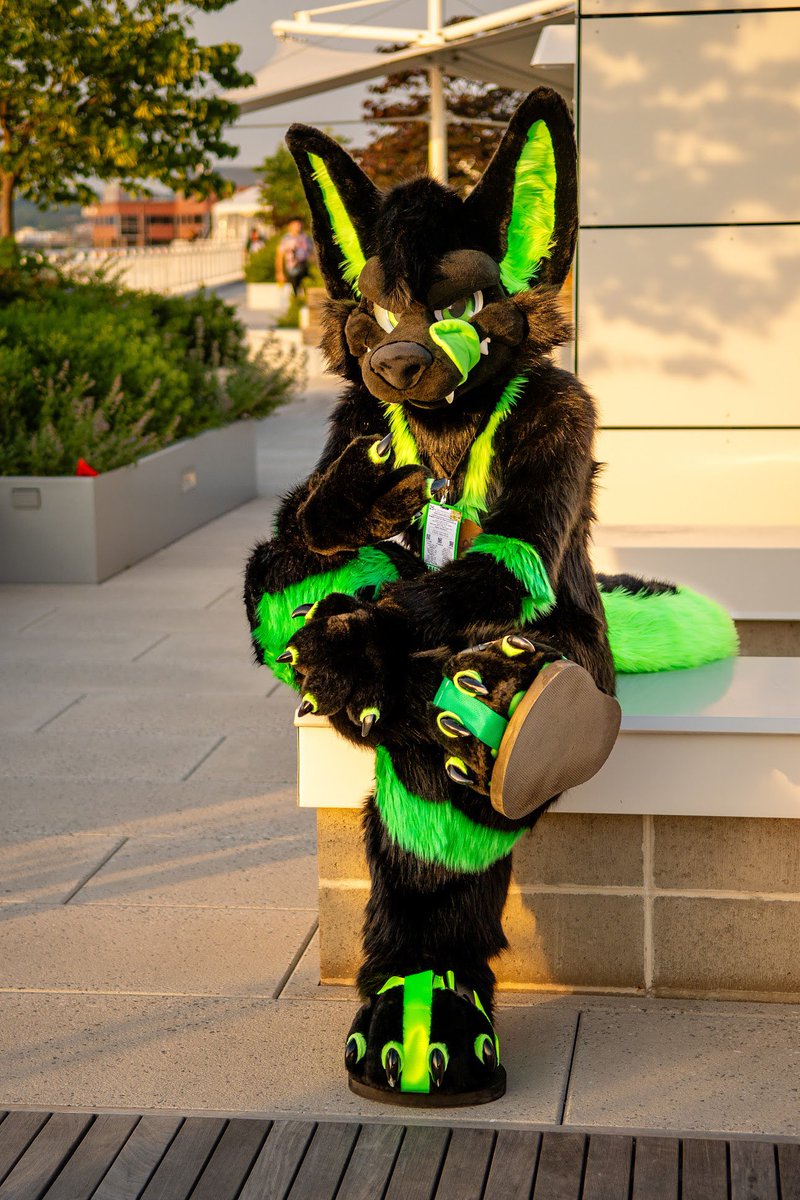 Xenom (@xenonthewolf) on Twitter photo Anyways before things get TOO quirky today
Happy #fursuitfriday ππΊ
-
<a href="/MoreFurLess/">More Fur Less</a>
πΈ@/AscariFennec Anyways before things get TOO quirky today
Happy #fursuitfriday ππΊ
-
<a href="/MoreFurLess/">More Fur Less</a>
πΈ@/AscariFennec