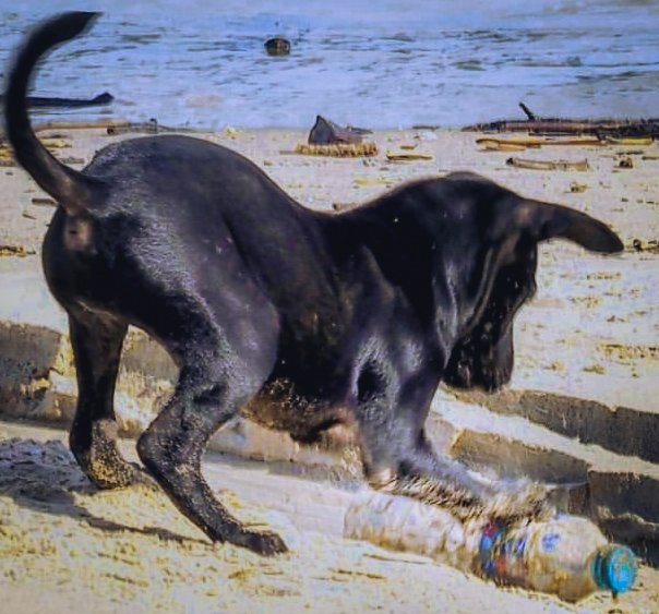 การประชุม #สนธิสัญญาพลาสติกโลก จบด้วยความล้มเหลว ☹️