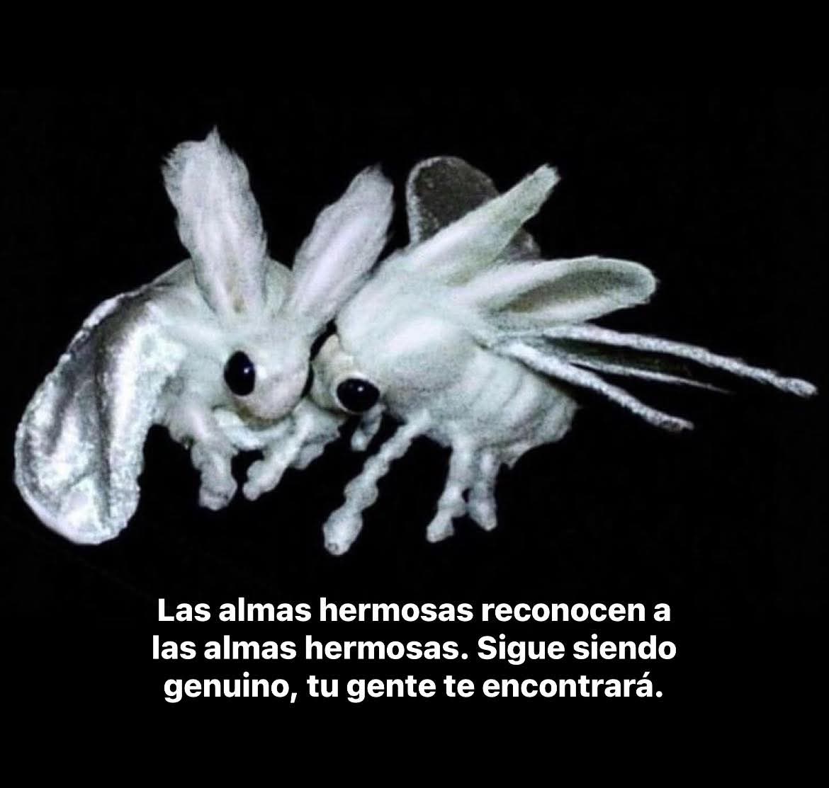 Anyone (@anyxne) on Twitter photo 