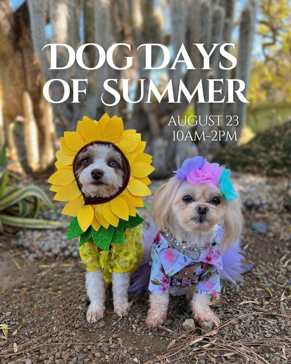 Dog Days of Summer is back! Come PAW-TY with us on August 23rd! 

Events in the Plaza and Great Room, as well as the talks, are FREE to the public. Entrance to the Garden requires a paid admission ticket. 

ruthbancroftgarden.org/event/dog-days…