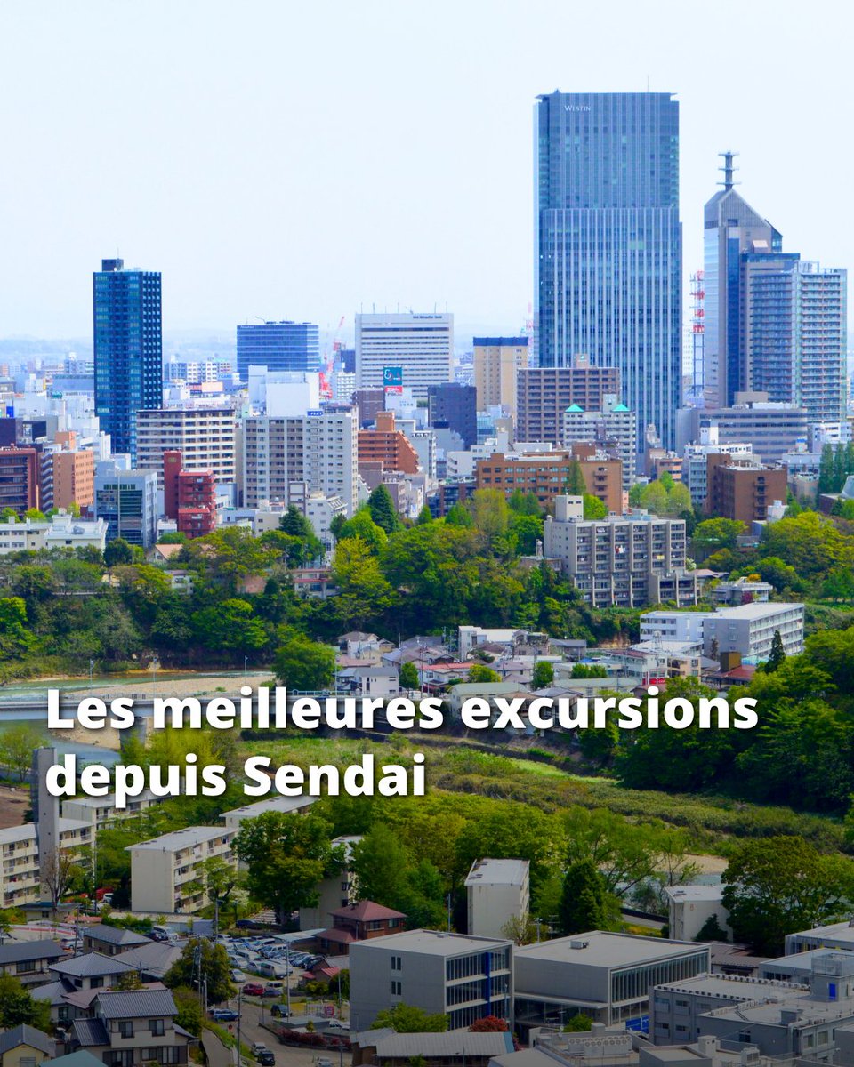 Japan Experience ✈️ tweet media