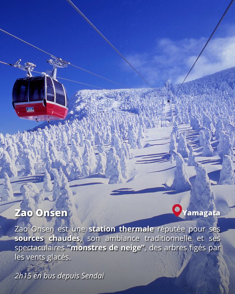 Japan Experience ✈️ tweet media