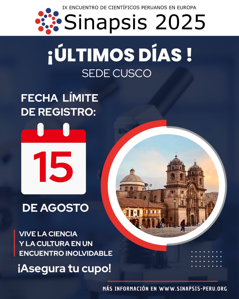 Sinapsis tweet media