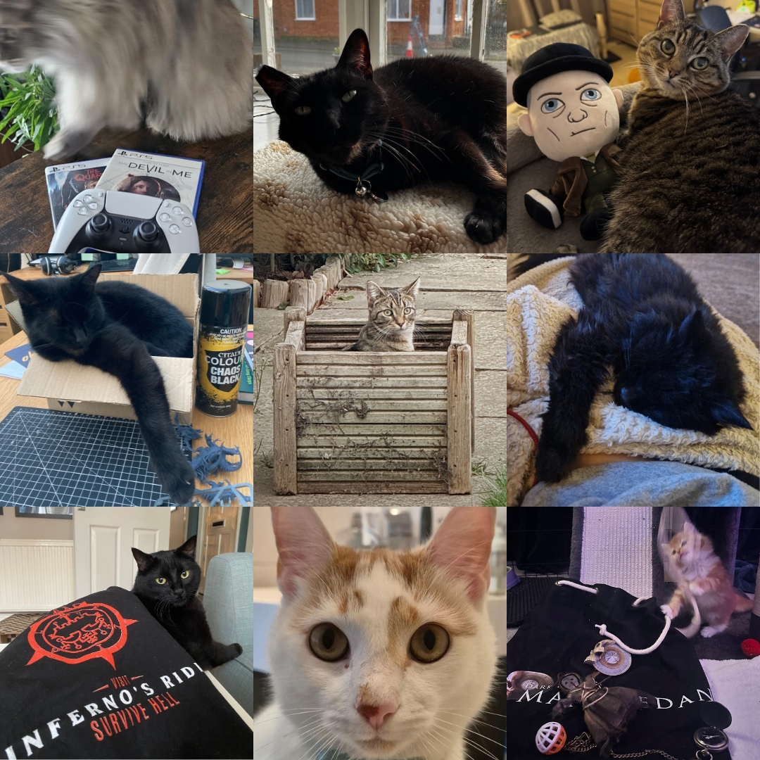 Happy International Cat Day from the SuPurrMassive team! 🐾 
They provide purr-raising feedback, meowtivation, and the occasional keyboard sabotage 🎮🐱