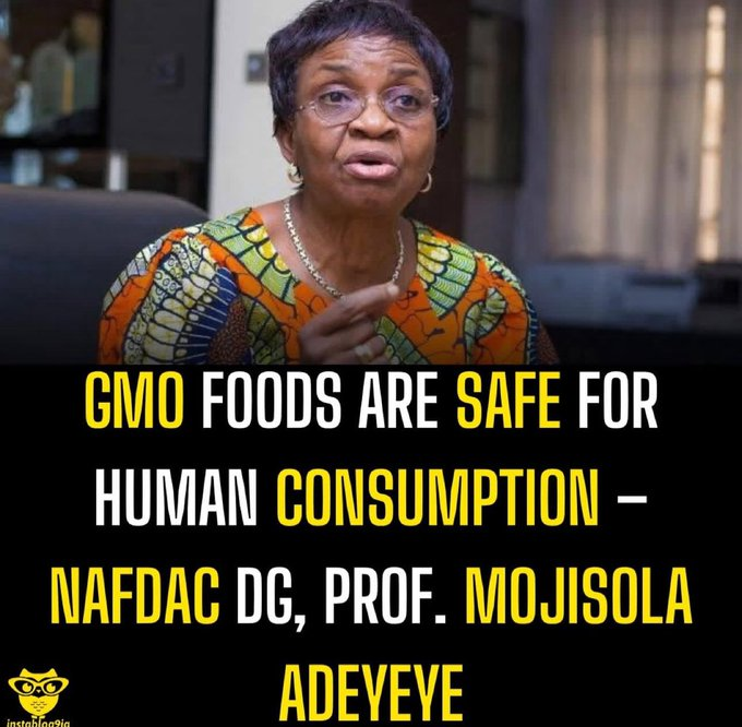 So this Useless Woman (who shut down Onitsha Drug Market over a fabricated lie) is saying that GMOs are good for Human Consumption???

NAFDAC is officially a Terrorist Organization...