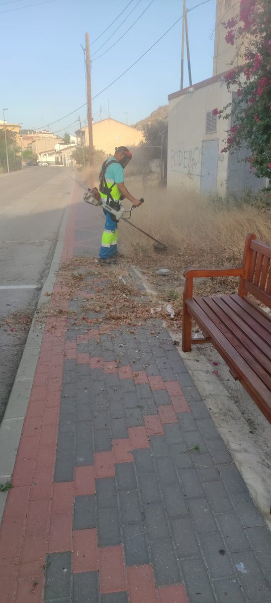🌱Nuestros compañeros trabajan en tareas de desbroce en Llano de Brujas y Cobatillas para mejorar la accesibilidad de las aceras y evitar el riesgo de incendios. 

#murcialimpia #desbroces #murcia1200